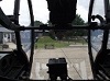 DG1's Avatar